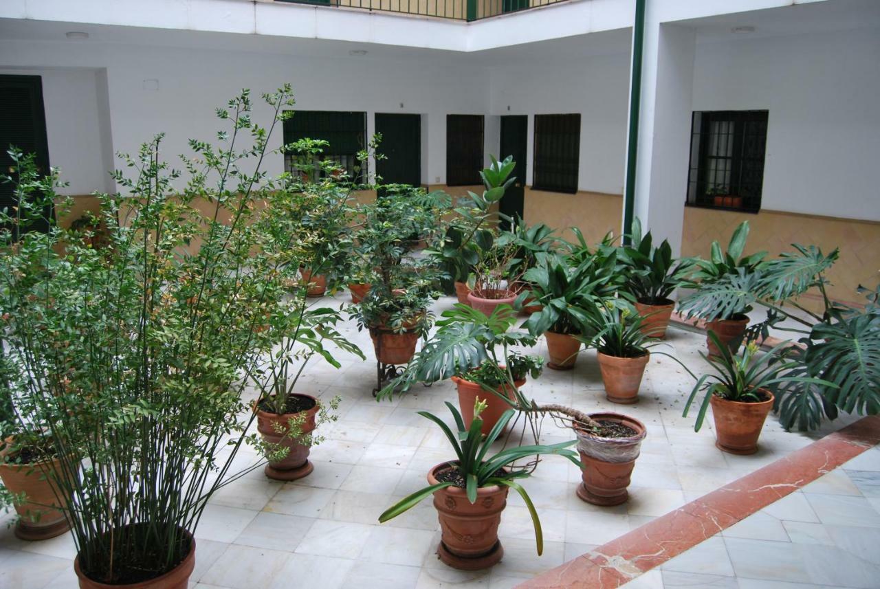 Apartment El Rincon De Aurora